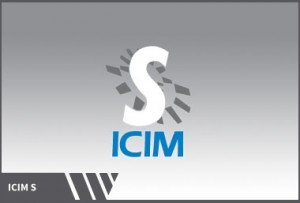 API qualita certificata icim s 0 300x203 תקן איכות